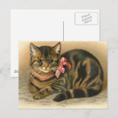 Postkarte "Tabby Cat" (Vorne/Hinten)