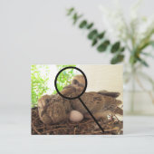 Postkarte - Taubenschwindeln im Nest (Stehend Vorderseite)