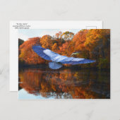 Postkarte "The Blue Heron" (Vorne/Hinten)