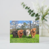 Postkarte "The Woolies" (Stehend Vorderseite)