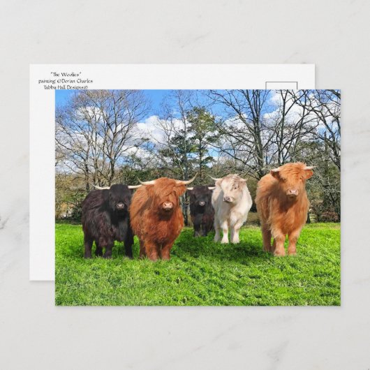 Postkarte "The Woolies" (Vorne/Hinten)