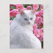 Postkarte "Theodora" (Vorderseite)