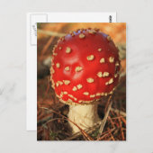 Postkarte Toadstol (Vorne/Hinten)