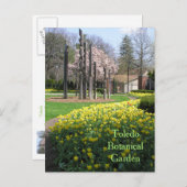 Postkarte/TOLEDO-BOTANISCHE GARTEN/GELBE TULIPS Postkarte (Vorne/Hinten)
