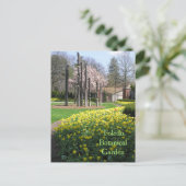 Postkarte/TOLEDO-BOTANISCHE GARTEN/GELBE TULIPS Postkarte (Stehend Vorderseite)