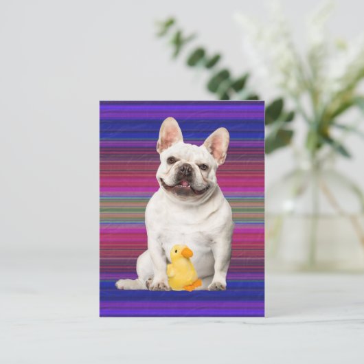 Postkarte "Tuffy McTuggs" (Stehend Vorderseite)