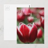 Postkarte/Tulip Postkarte (Vorne/Hinten)