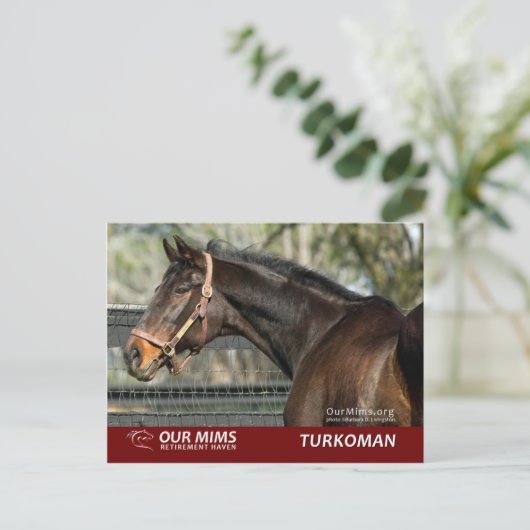 Postkarte Turkoman (Stehend Vorderseite)