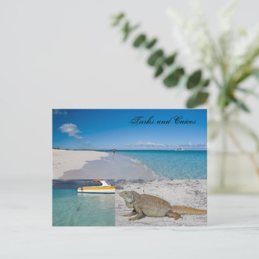 Postkarte Turks und Caicos (Stehend Vorderseite)