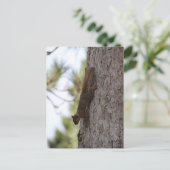 Postkarte "Updown Squirrel" (Stehend Vorderseite)