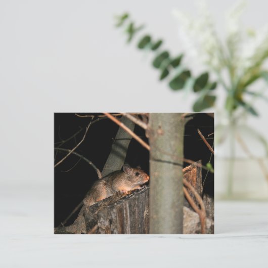 Postkarte verbergen (Stehend Vorderseite)