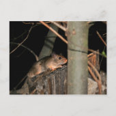 Postkarte verbergen (Vorderseite)