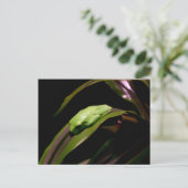 Postkarte "Verstecken in Schlichter Sicht" (Stehend Vorderseite)