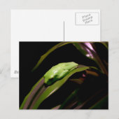 Postkarte "Verstecken in Schlichter Sicht" (Vorne/Hinten)