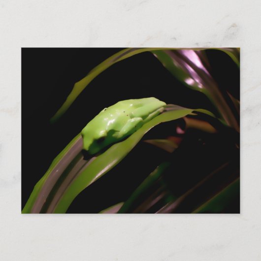 Postkarte "Verstecken in Schlichter Sicht" (Vorderseite)