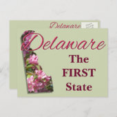 Postkarte - VERZÖGERUNG (Vorne/Hinten)