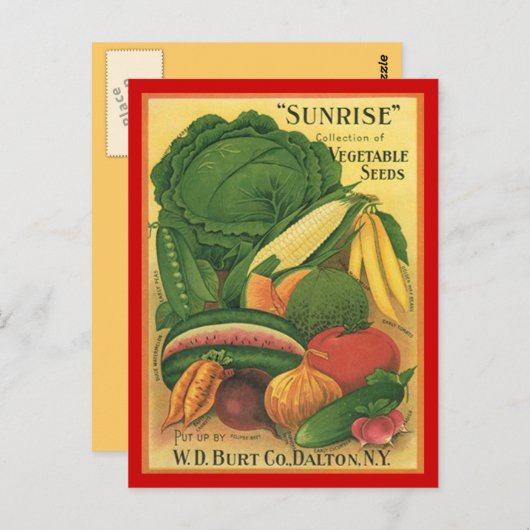 Postkarte Vintag antike Burt Gemüsepflanzung (Vorne/Hinten)