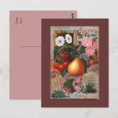 Postkarte - Vintage Blumenfruchtdarstellung (Vorne/Hinten)