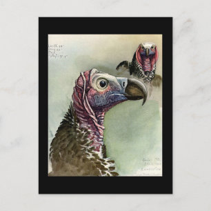 Postkarte-Vintage Chicago Art-Abyssinische Vögel 1 Postkarte