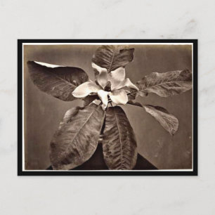 Postkarte-Vintage-Fotografie-Charles Aubry 24 Postkarte