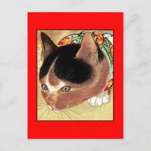 Postkarte: Vintage Katzen-Kunst: "Neugierige Postkarte