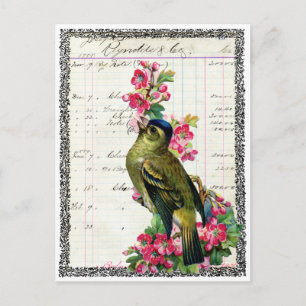 Postkarte Vogel