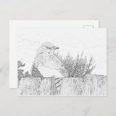 Postkarte - Vogel auf Zaun bis Farbe (Vorne/Hinten)
