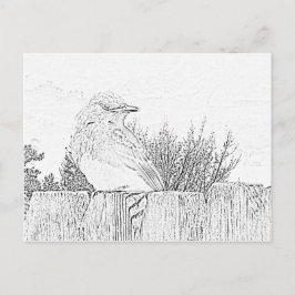 Postkarte - Vogel auf Zaun bis Farbe