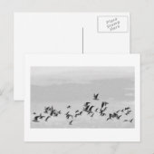 Postkarte Vögel im Flug (Vorne/Hinten)