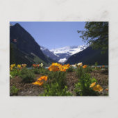 Postkarte vom Louise-See (Vorderseite)