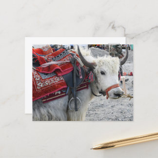 Postkarte vom Pongong Himalayan Mountain