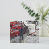 Postkarte vom Pongong Himalayan Mountain (Stehend Vorderseite)