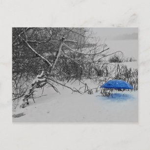 Postkarte - vom Schirmlein auf dem Eis