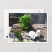 Postkarte von Berkeley Street (Vorne/Hinten)