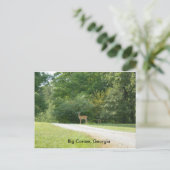Postkarte von Big Canoe, Georgia (Stehend Vorderseite)