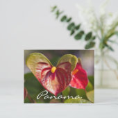 Postkarte von Boquete, Panama (Stehend Vorderseite)