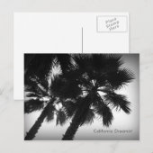 Postkarte von California Dreamin' Palmen (Vorne/Hinten)