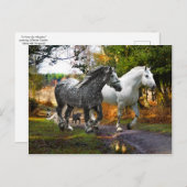 Postkarte "Von der Wiese" (Vorne/Hinten)