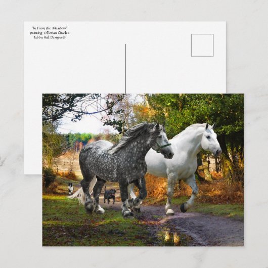 Postkarte "Von der Wiese" (Vorne/Hinten)