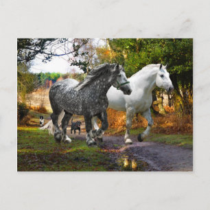 Postkarte "Von der Wiese"