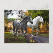 Postkarte "Von der Wiese" (Vorderseite)