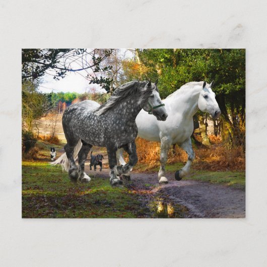 Postkarte "Von der Wiese" (Vorderseite)