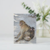 Postkarte von Gibraltar Affen, anpassen (Stehend Vorderseite)