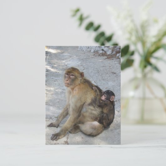 Postkarte von Gibraltar Affen, anpassen (Stehend Vorderseite)