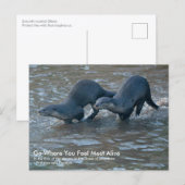 Postkarte von Glattfellottern (Vorne/Hinten)
