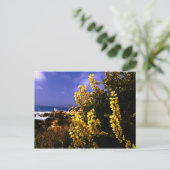 Postkarte von Kalifornien (Stehend Vorderseite)