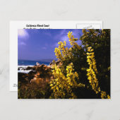 Postkarte von Kalifornien (Vorne/Hinten)
