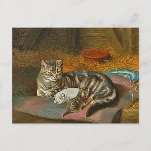 Postkarte von Mama Katze und Welpe: "Der unerwarte