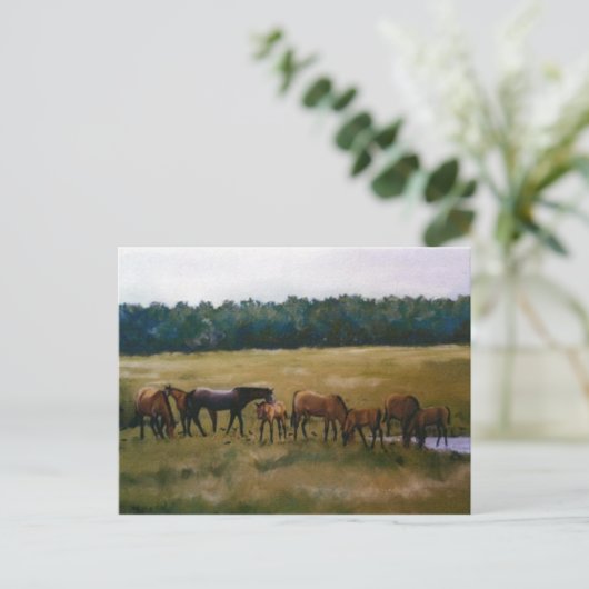 Postkarte von Mares und Foals (Stehend Vorderseite)