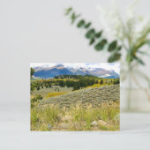 Postkarte von Montana (Stehend Vorderseite)